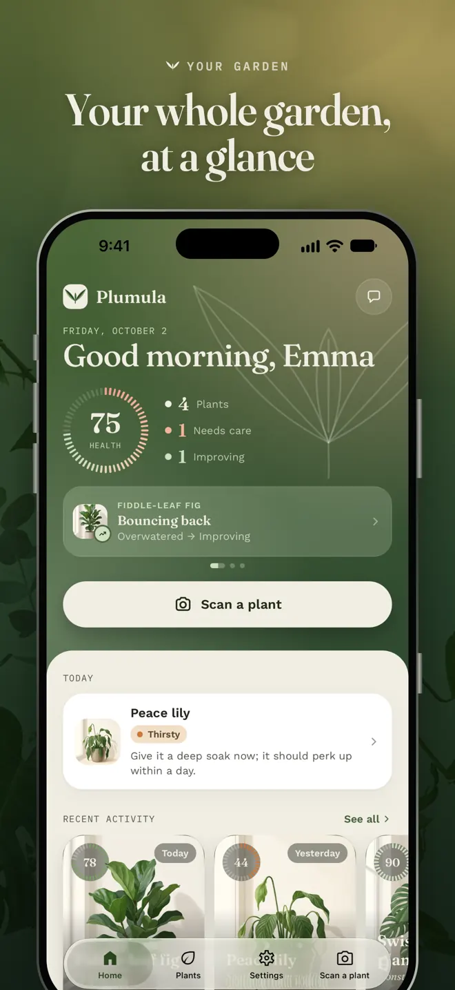 Home: your whole garden at a glance