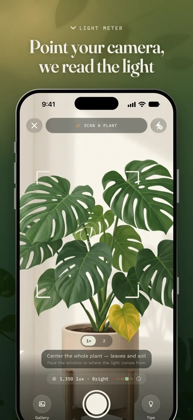 Scan: point your camera, Plumula reads the light